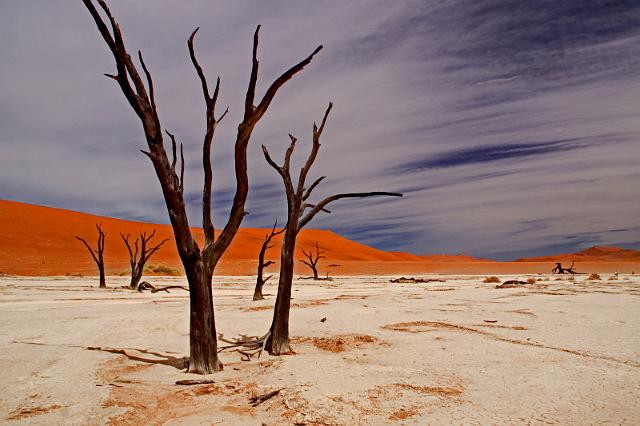 088 Death Vlei.JPG